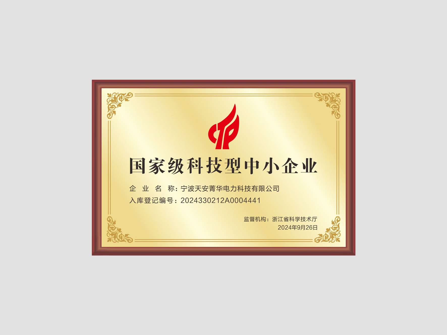 国家级科技型中小企业