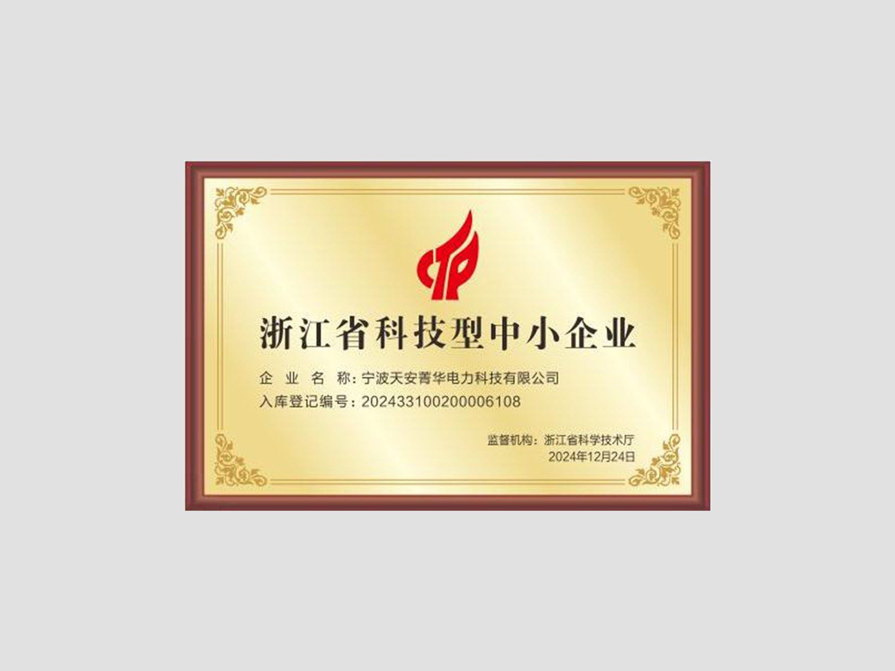 浙江省科技型中小企业